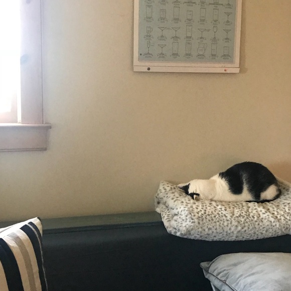 Hi I’m Roo, and proud to be your posher! - Picture 5 of 8